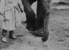 Kino-Pravda 20: Kino-Pravda 20