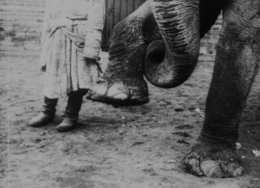 Kino-Pravda 20: Kino-Pravda 20