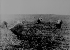 Kino-Pravda 17: Kino-Pravda 17