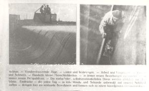 Verleih Derussa, Produktion WUFKU: Der Stadtanzeiger (Düsseldorf) äußerte sich folgendermaßen...