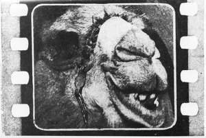 Kamel, Kader mit Perforationslöchern