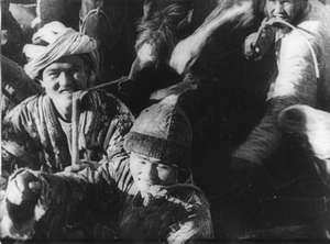 Junge Männer mit Pferden