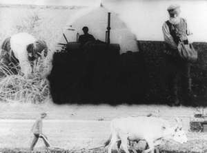 Mehrfachbelichtung Bauern