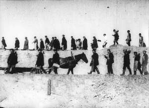 Reihen von Arbeitern und Pferden