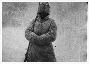 Wachsoldat im Winter