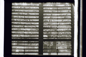 Jalousien offen